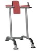 Поднятие коленей / брусья AeroFit Impulse IT7010