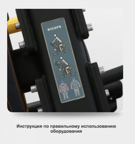 Бицепс машина BRONZE GYM PL-1713 тренажер нагружаемый дисками Бицепс машина BRONZE GYM PL-1713 тренажер нагружаемый дисками