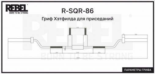 Гриф Хэтфилда для приседаний REBEL R-SQR-86 Гриф Хэтфилда для приседаний REBEL R-SQR-86