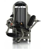 MATRIX Aura G3 S71 Разгибание ног