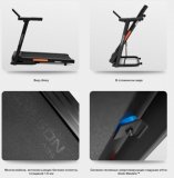 SVENSSON Body Labs BALANCE B Беговая дорожка