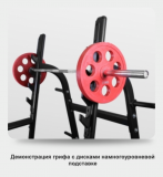 BRONZE GYM BR-1015 Рама для приседов