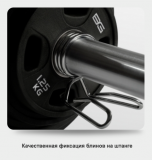 Замки пружинные BRONZE GYM